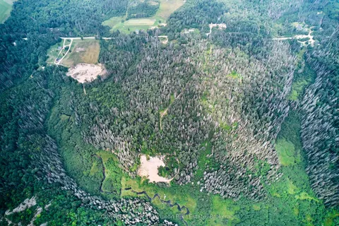 185 Halls Road, ON P0A 1Z0