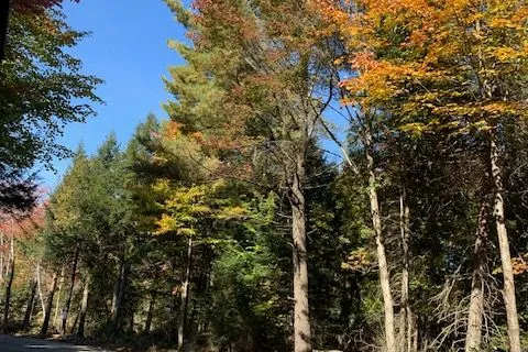 1601 Uffington Road, ON P1L 1X1