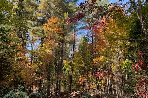 1601 Uffington Road, ON P1L 1X1