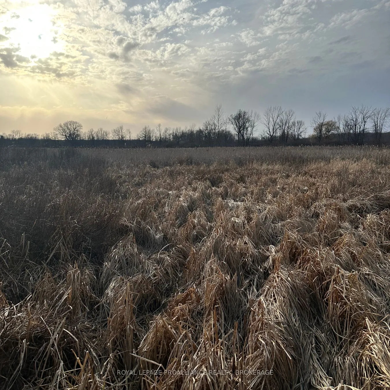 68 3rd CONCESSION Road, ON K0H 2S0