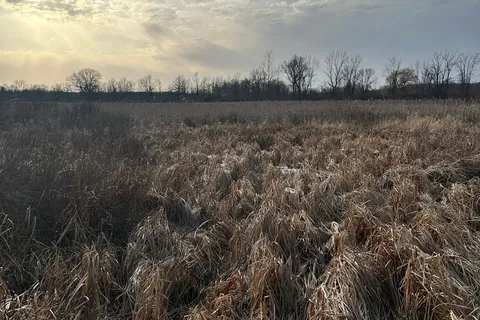 68 3rd CONCESSION Road, ON K0H 2S0