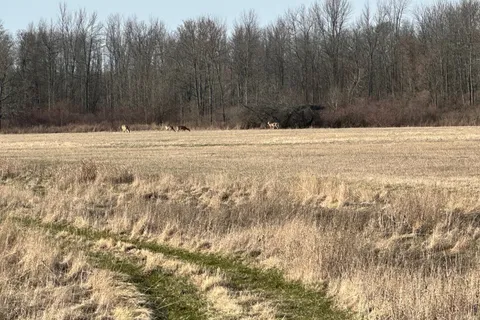 68 3rd CONCESSION Road, ON K0H 2S0