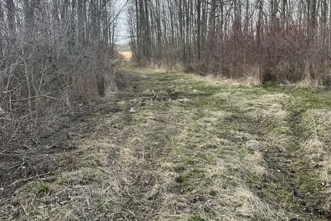 68 3rd CONCESSION Road, ON K0H 2S0