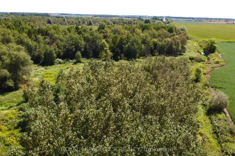 LT26&27 Wellington Rd 109 N/A, ON N0G 1A0