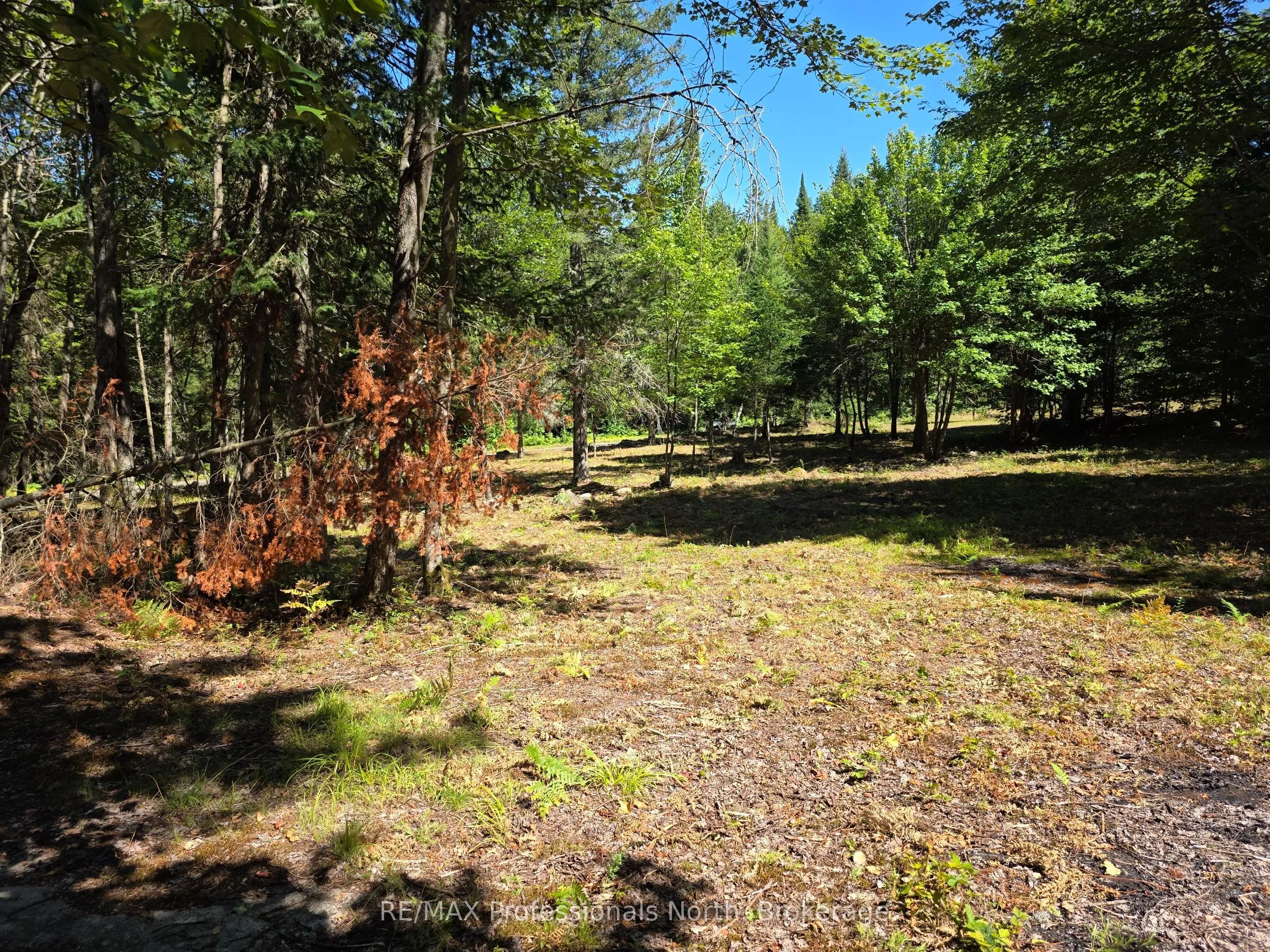 00 Whitney Road, ON P0A 1R0