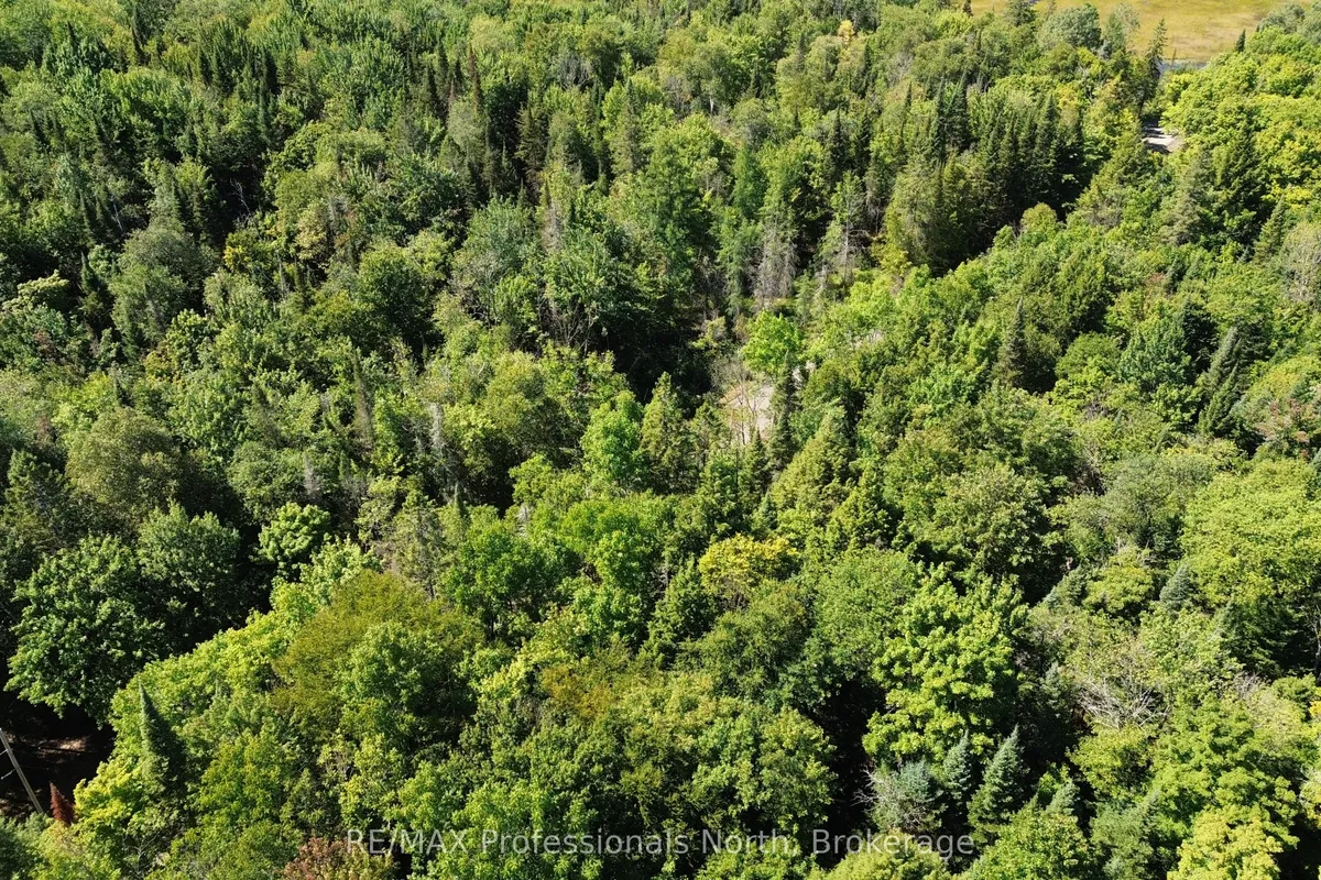 00 Whitney Road, ON P0A 1R0