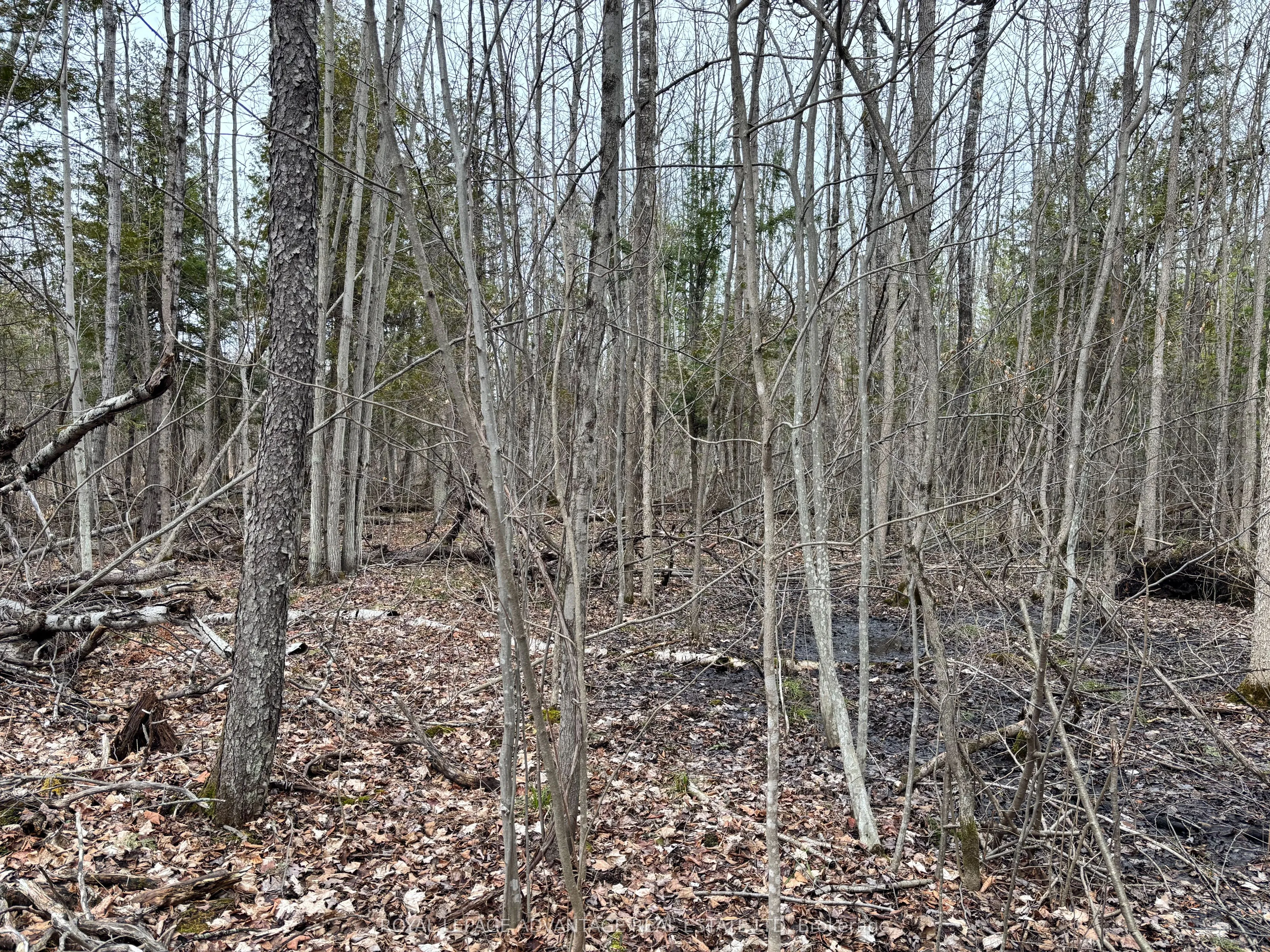 0 Dixon Road, ON K6V 5T2