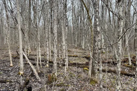 0 Dixon Road, ON K6V 5T2