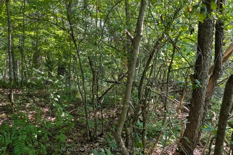 206 VEL-DOR Crescent, ON P1L 1J4