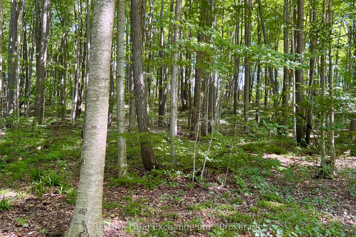 36718 River Road, ON N0G 2H0