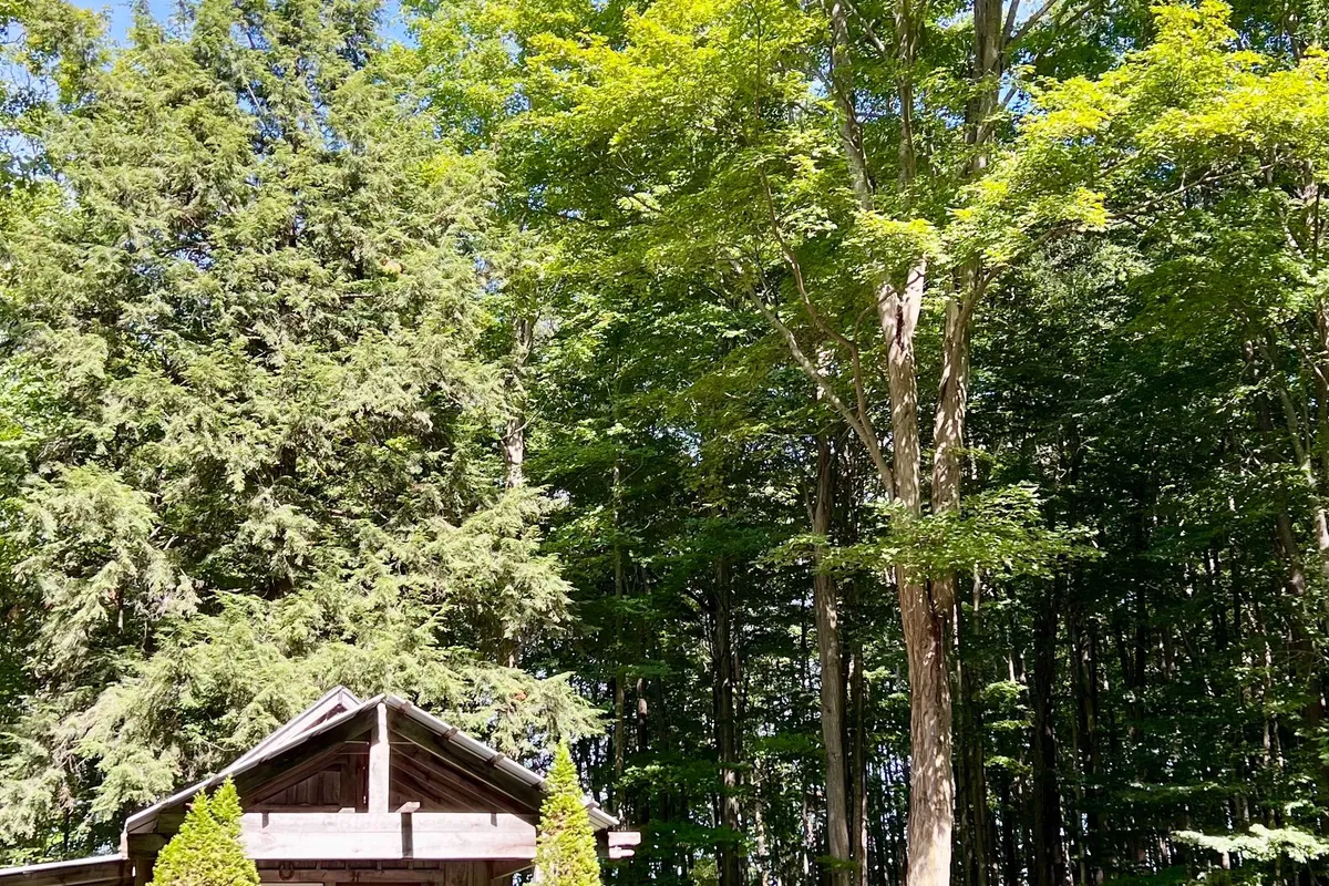 36718 River Road, ON N0G 2H0