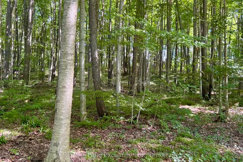 36718A River Road, ON N0G 2H0