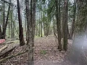 000 KENYON Dam Rd Road, ON K0C 1A0