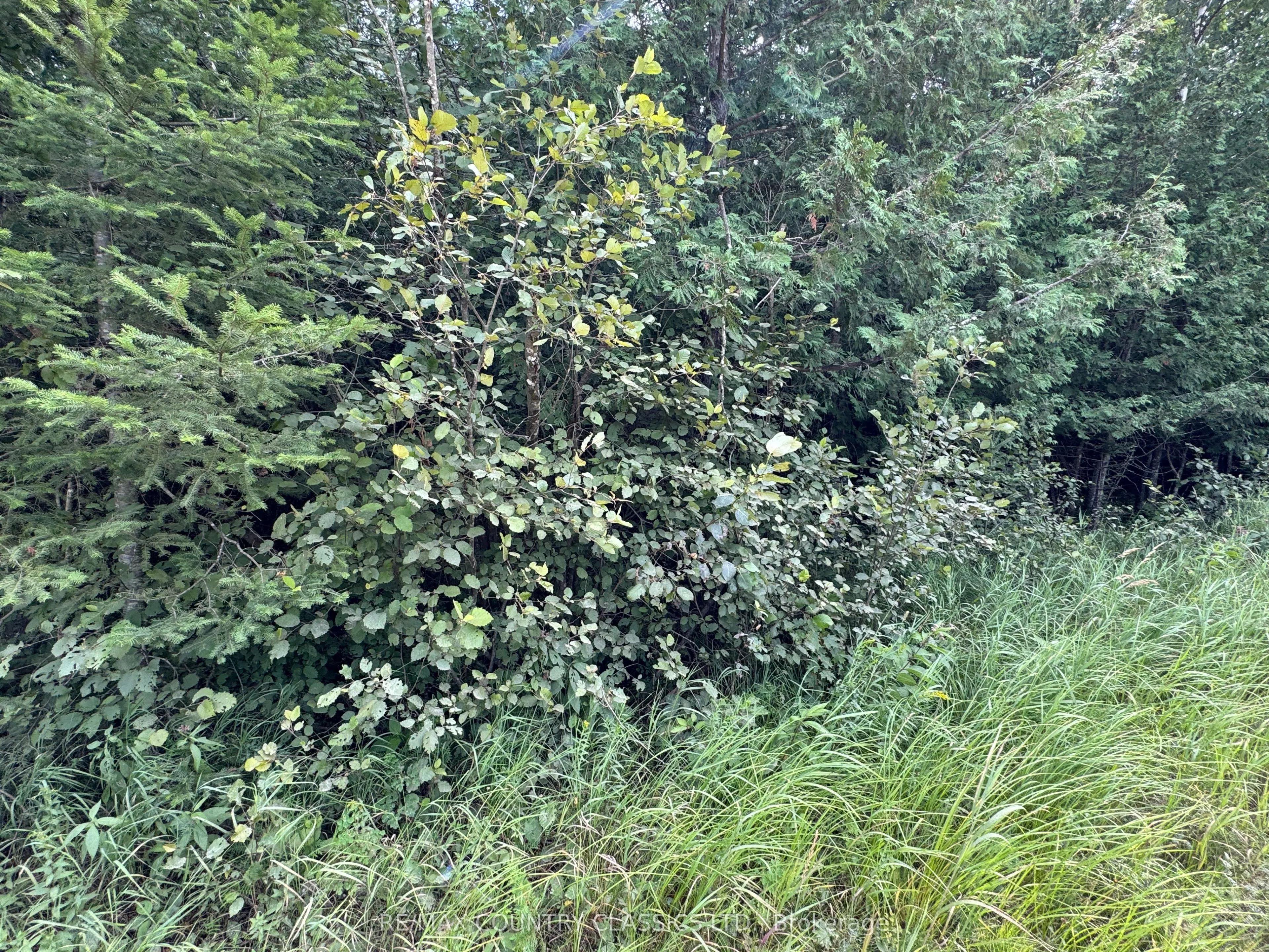 00 Schimmens Road, ON K0J 2E0