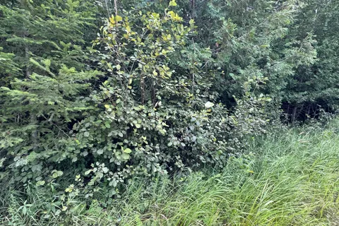 00 Schimmens Road, ON K0J 2E0