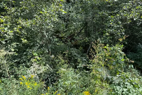 00 Schimmens Road, ON K0J 2E0