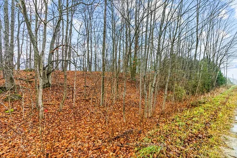 PtLt 16; Part 2 16R6350 5 Side Road, ON N0H 1G0