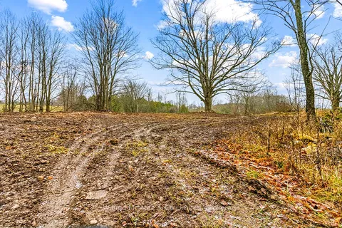 PtLt 16; Part 2 16R6350 5 Side Road, ON N0H 1G0