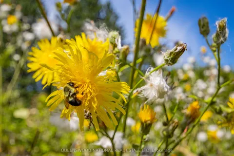 842 Centreview Road, ON K0J 1L0