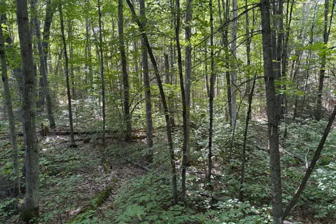 0 Hemlock Road, ON P0H 2L0