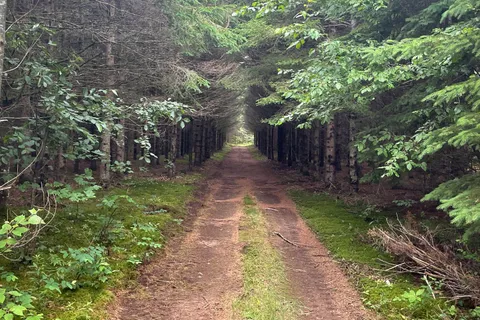 1311A ROAD 506 N/A, ON K0H 1K0