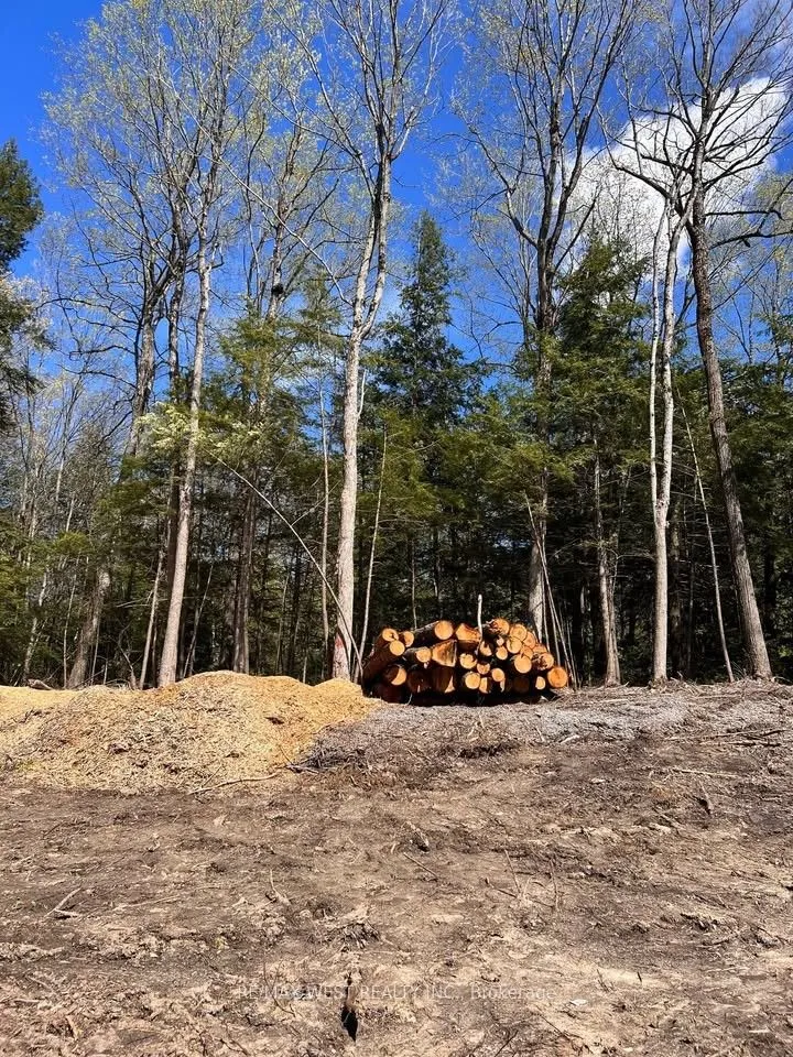 0 Lot Syer Line, ON L0A 1A0