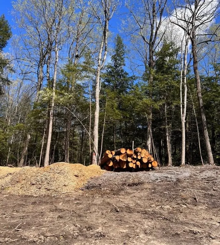 0 Lot Syer Line, ON L0A 1A0