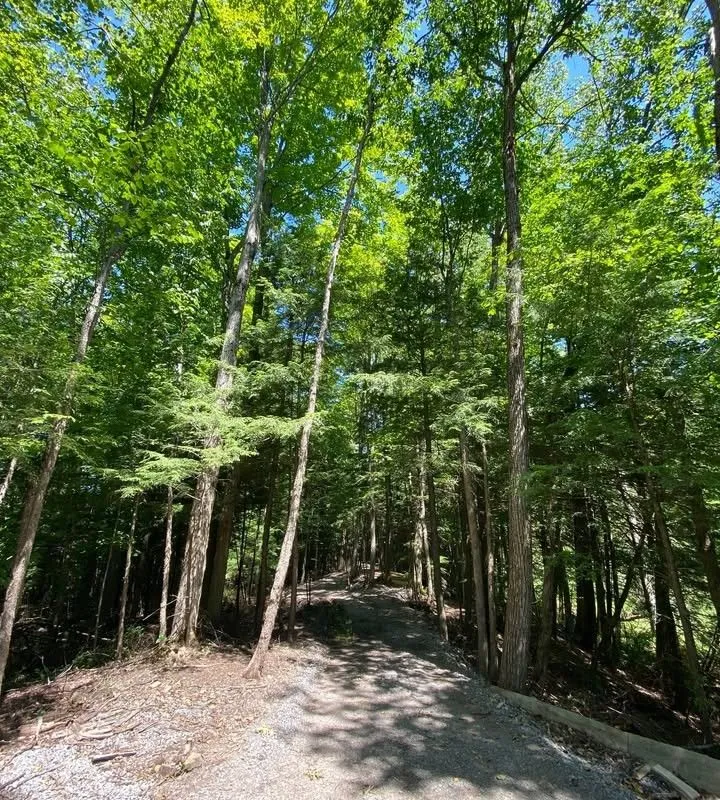 0 Lot Syer Line, ON L0A 1A0