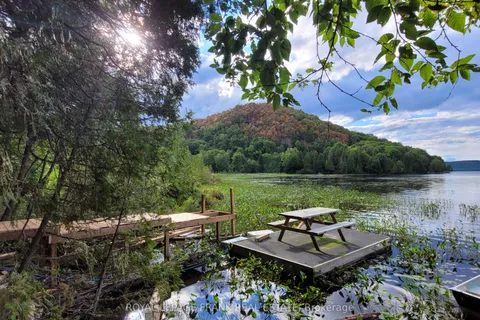 00 Elephant Lake N/A, ON K0L 1M0