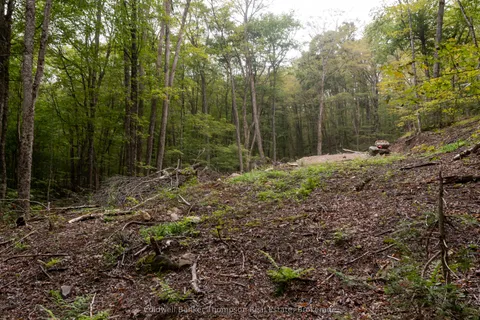 Lot 4 Emsdale Lake Road, ON P0A 1J0