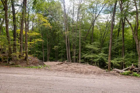 Lot 4 Emsdale Lake Road, ON P0A 1J0