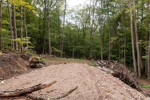 Lot 4 Emsdale Lake Road, ON P0A 1J0