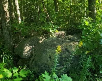 70379 Zion Church Road, ON N0H 2T0