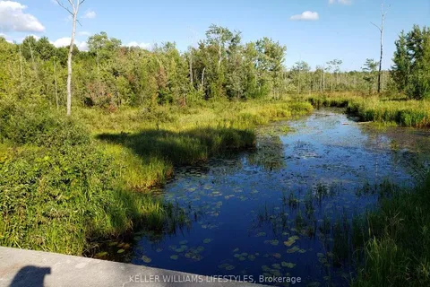 70379 Zion Church Road, ON N0H 2T0