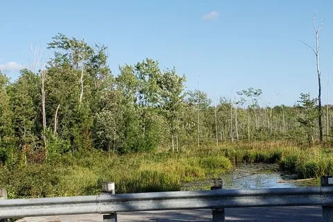 70379 Zion Church Road, ON N0H 2T0