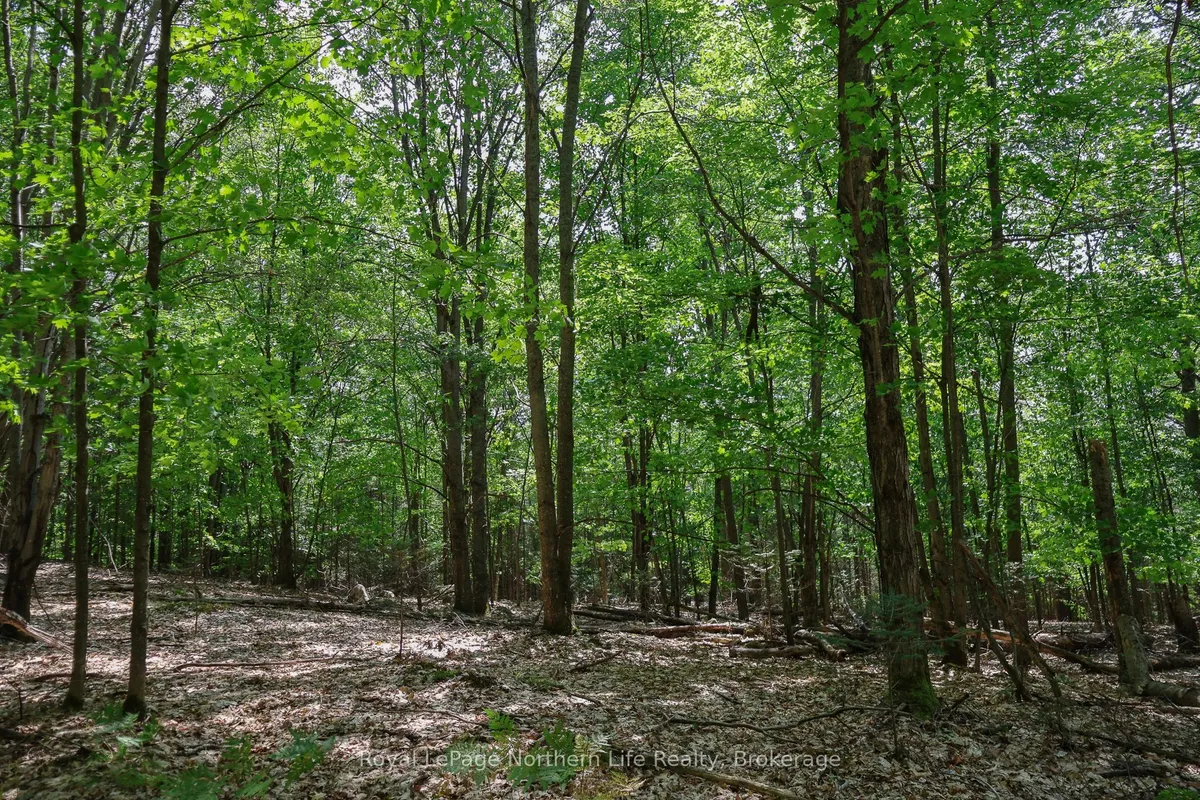 Lot 12 South Shore Road, ON P0H 1B0