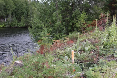 ### Sweets Lane, ON K0J 2R0