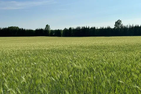 22648 Grey Rd 16 N/A, ON N0H 1G0