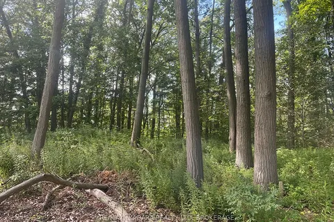 E/S FIRELANE 3 Road, ON L3K 5V5