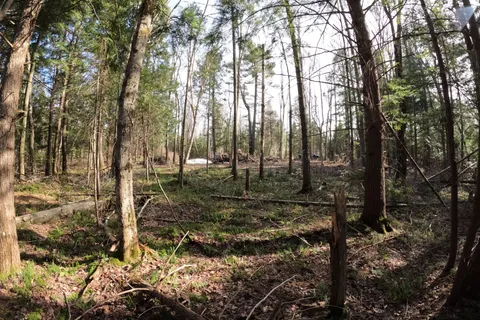 50 Concession 2 and 3 Road, ON P1H 2J3