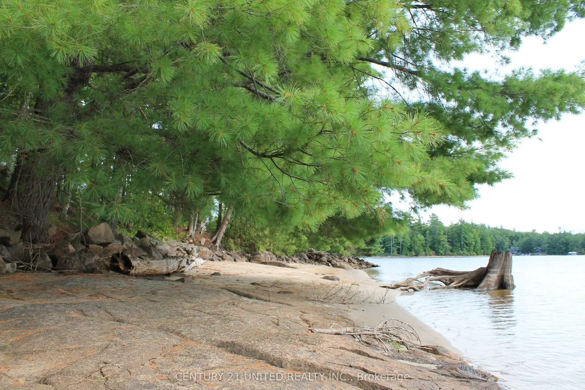 45 Fire Route 223 N/A, ON K0L 1J0