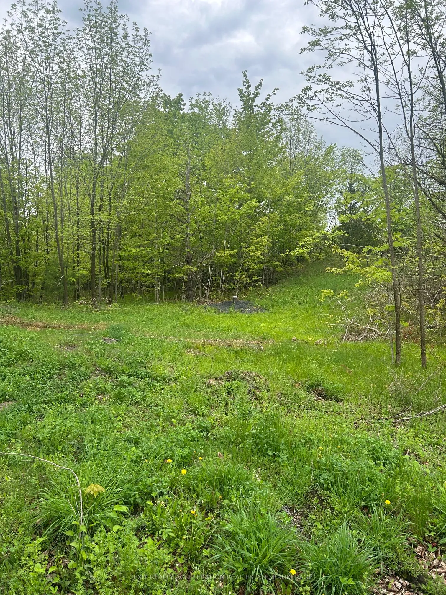 0 Bradshaw Road, ON K0H 2V0