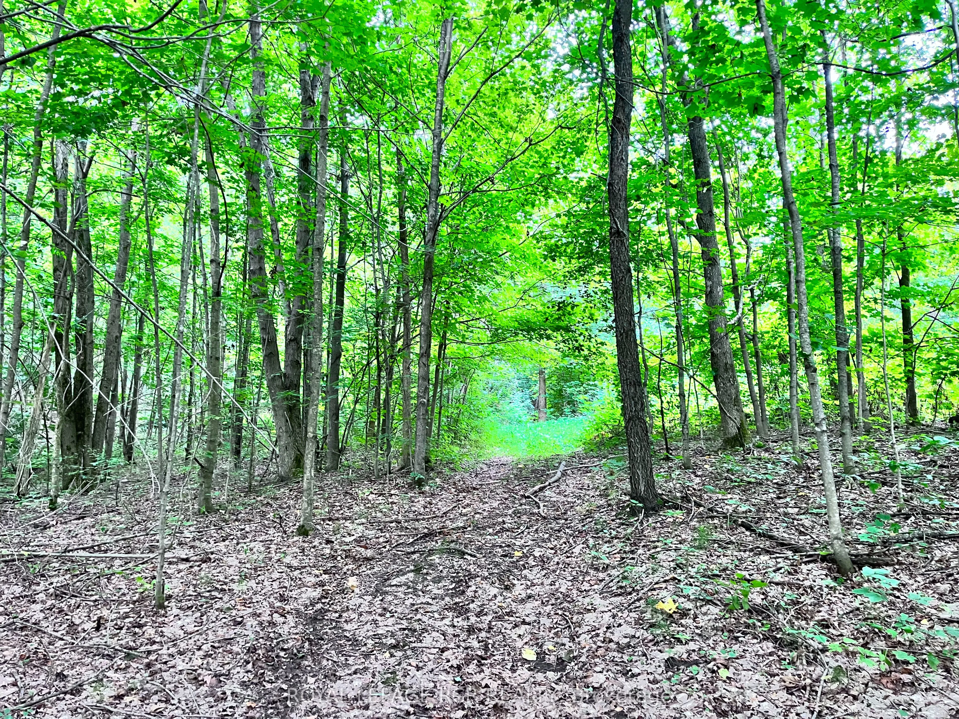 0 3rd Line, ON L9V 0J2