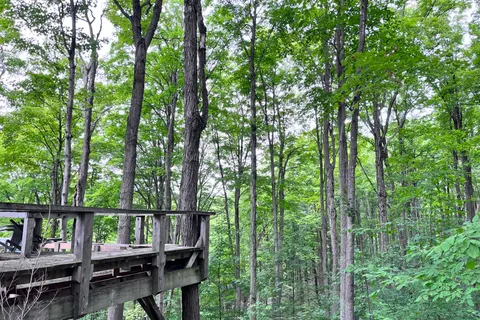 0 3rd Line, ON L9V 0J2