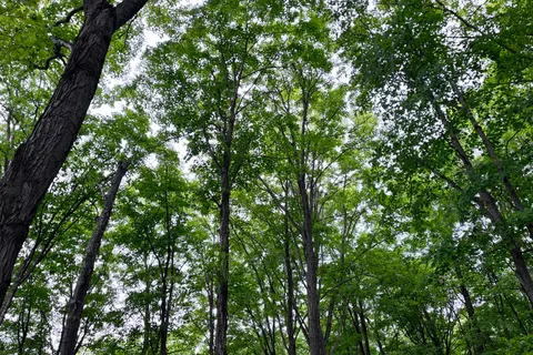 0 3rd Line, ON L9V 0J2