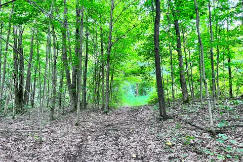 0 3rd Line, ON L9V 0J2