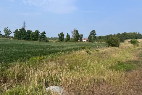 Lot B Douro Second Line, ON K0L 2H0