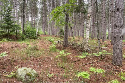 1477 Watsons Corners Road, ON K0G 1K0