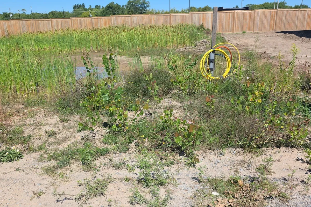 6172 Curlin Crescent, ON L2H 0B8