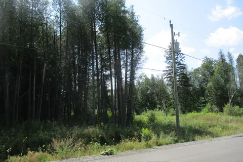 6240 Nick Adams Road, ON K4P 1H2